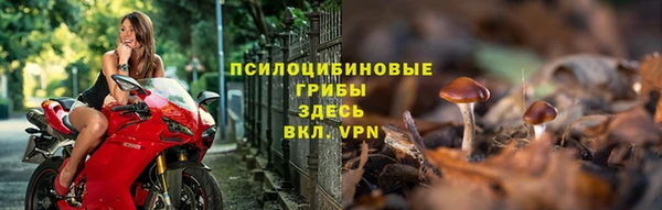 гидра Горно-Алтайск