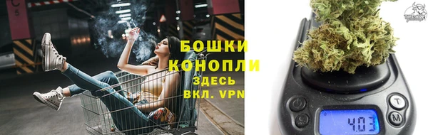 дурь Шадринск