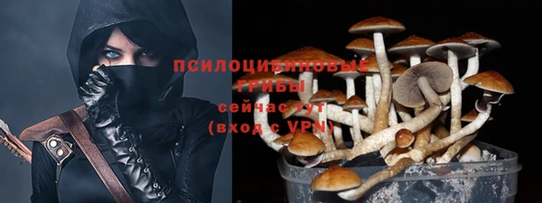эйфоретик Горнозаводск