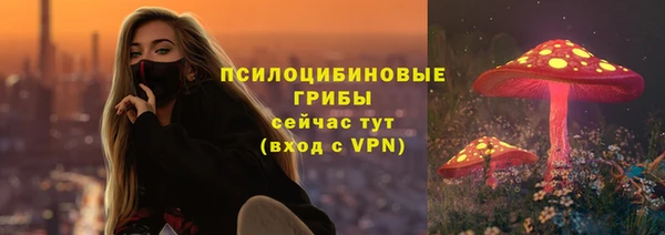соль ск Шали