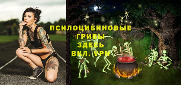 эйфоретик Горнозаводск
