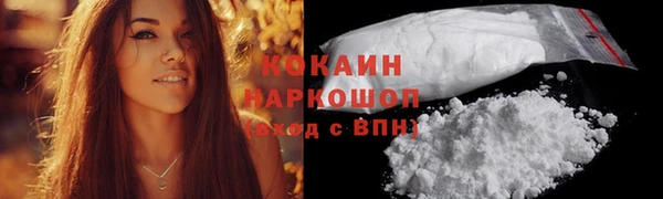 гидра Горно-Алтайск