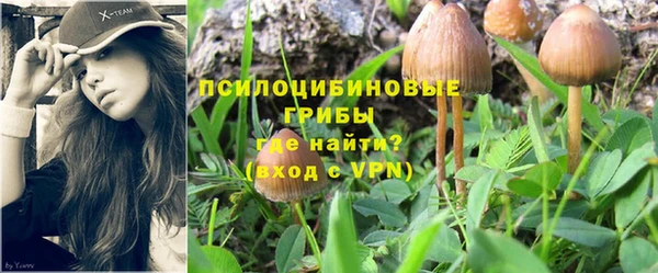 эйфоретик Горнозаводск