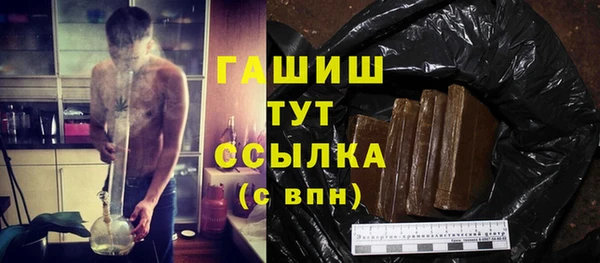 гидра Горно-Алтайск