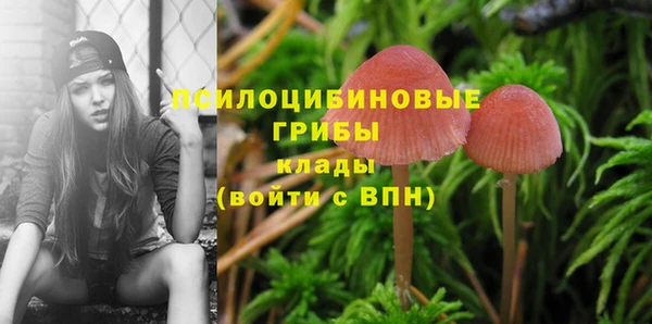 эйфоретик Горнозаводск