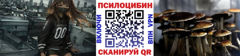 Псилоцибиновые грибы прущие грибы  Змеиногорск 